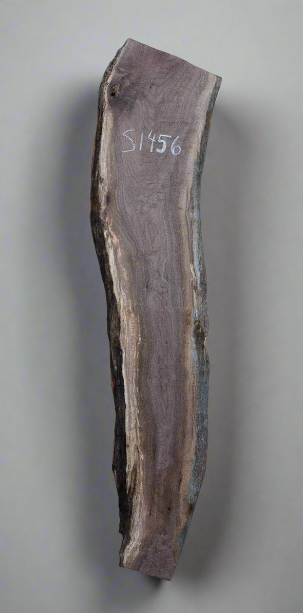 Black Walnut - S1456 & Black Walnut - S1466