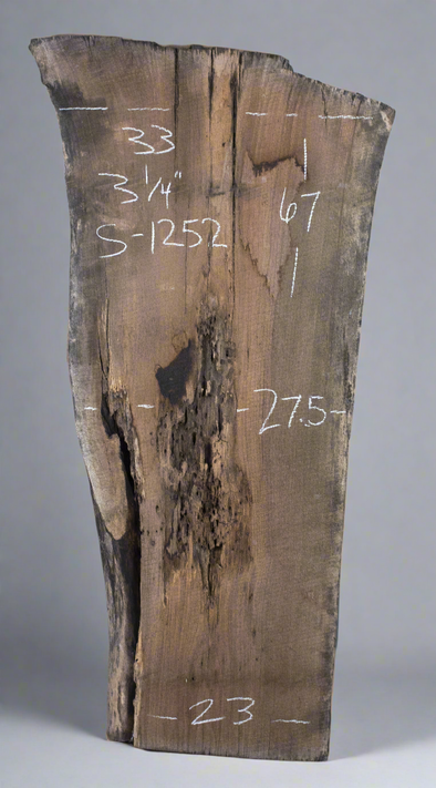 Black Walnut - S1252