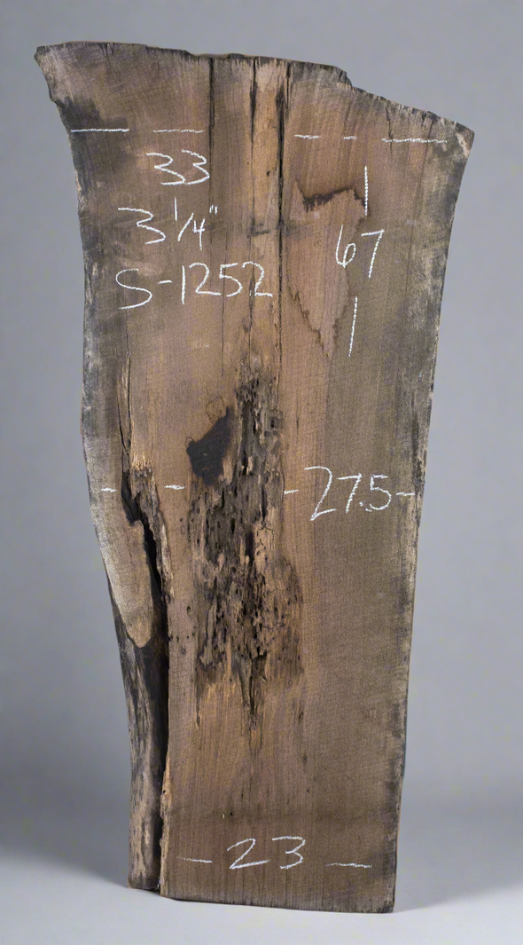 Black Walnut - S1252