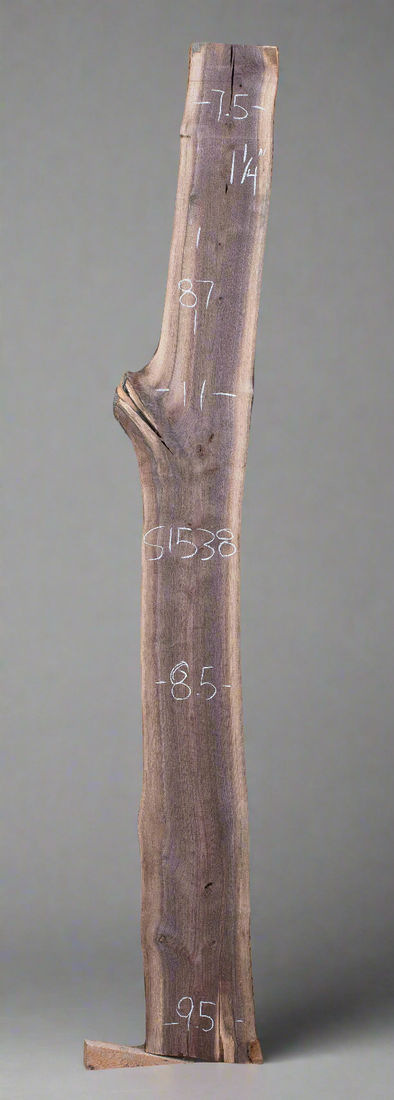 Black Walnut - S1538