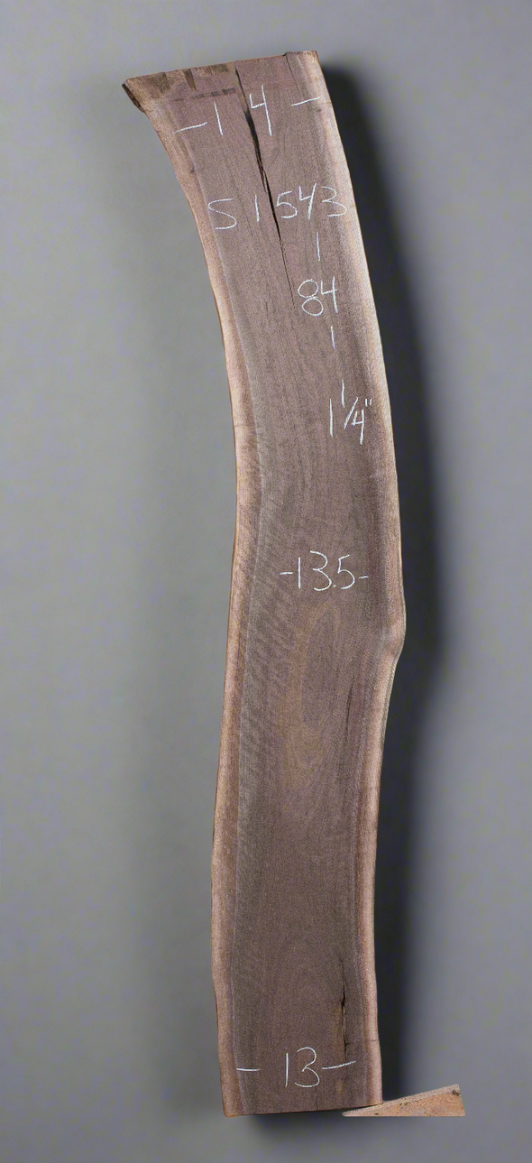Black Walnut - S1543