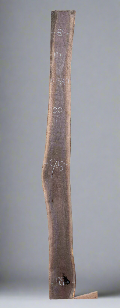 Black Walnut - S1537