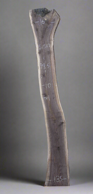 Black Walnut - S1517