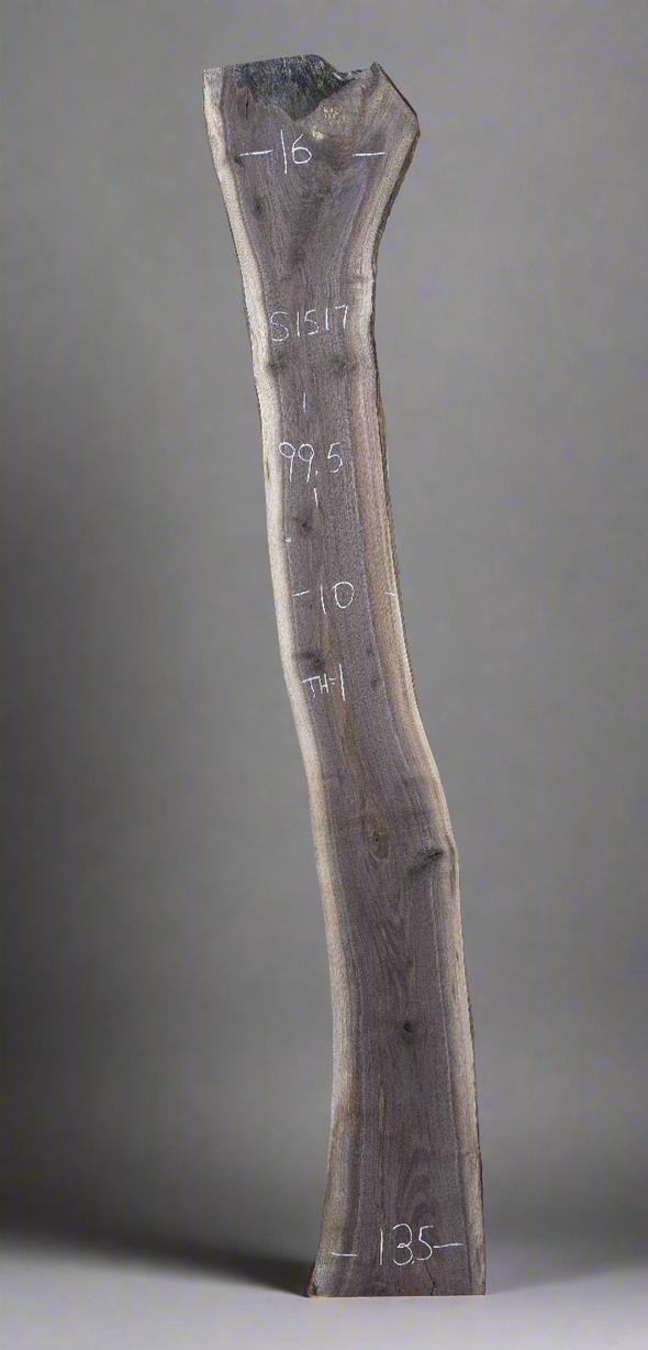 Black Walnut - S1517