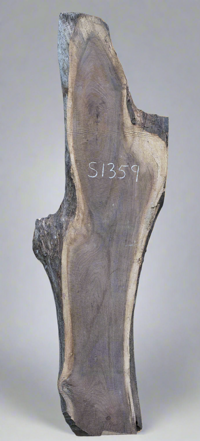 Black Walnut - S1359, Black Walnut - S1360, Black Walnut - S1361 & Black Walnut - S1362 Quad