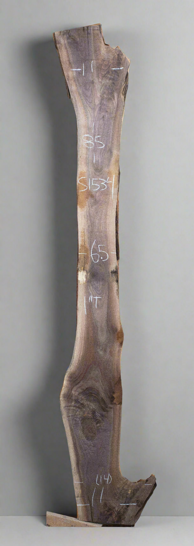 Black Walnut - S1534