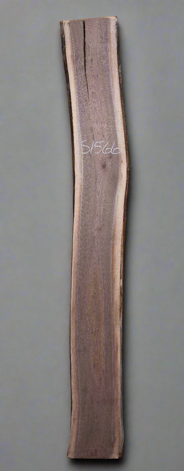Black Walnut - S1566