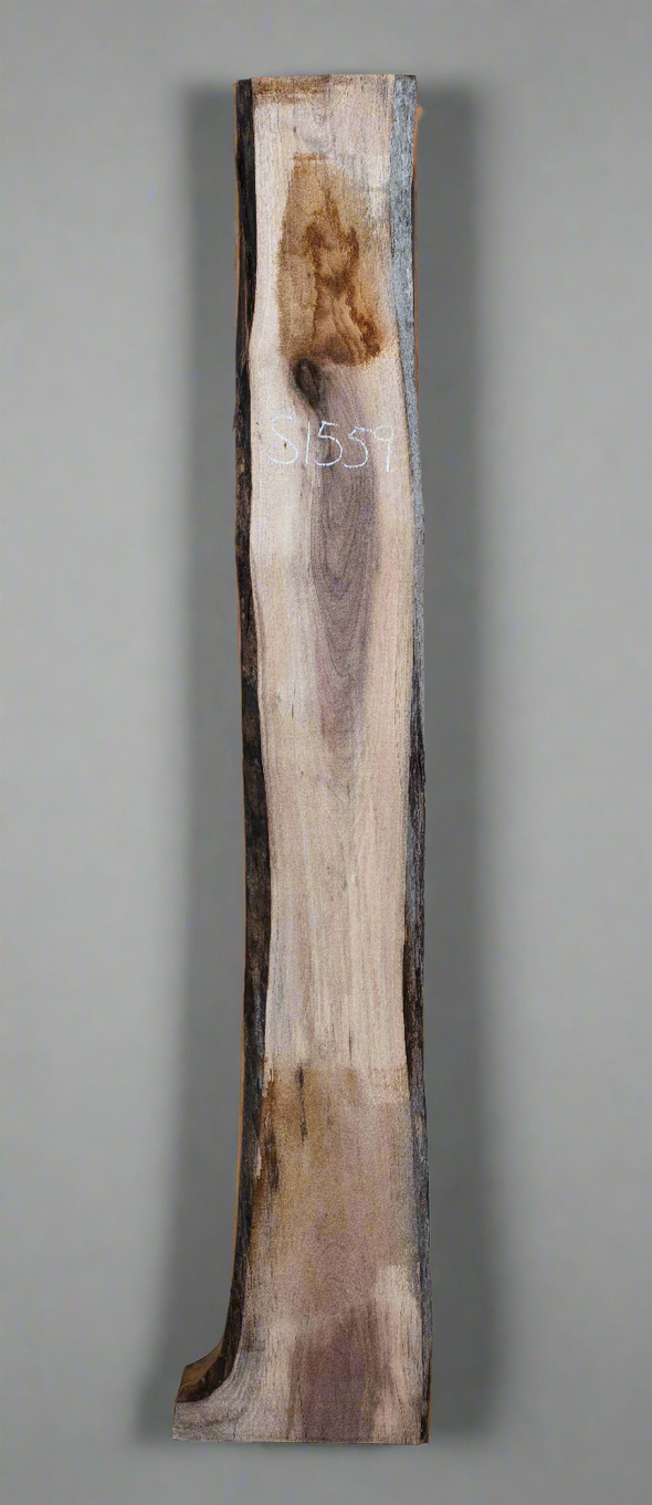 Black Walnut - S1559