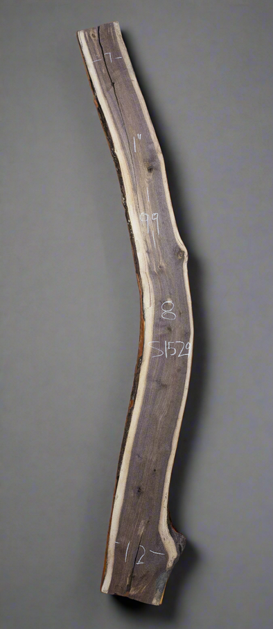 Black Walnut - S1529