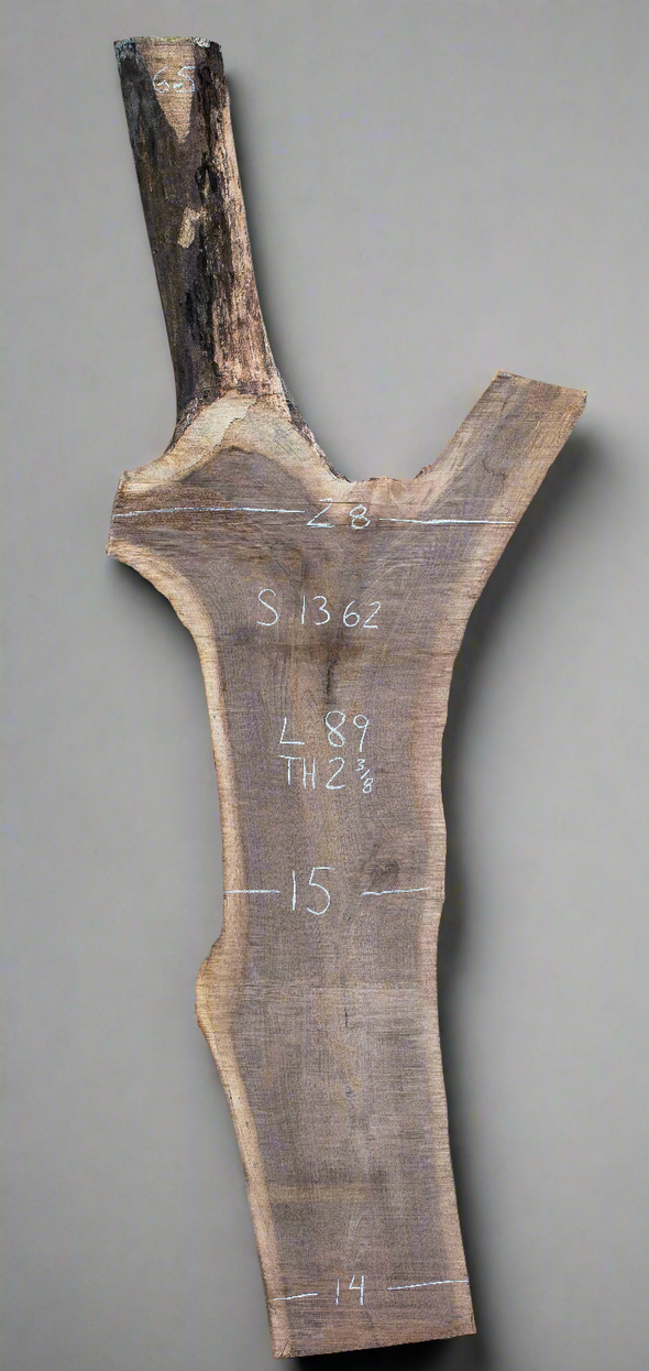 Black Walnut - S1362