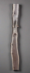 Black Walnut - S1524
