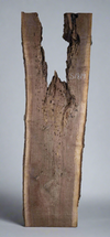 Black Walnut - S1819