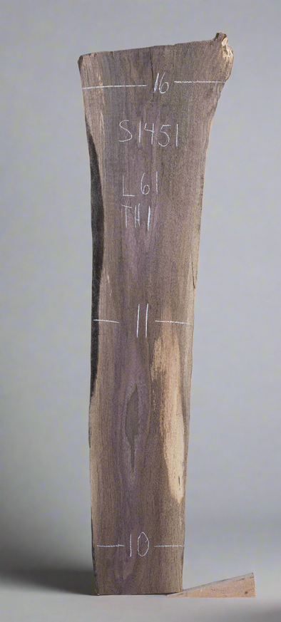 Black Walnut - S1451
