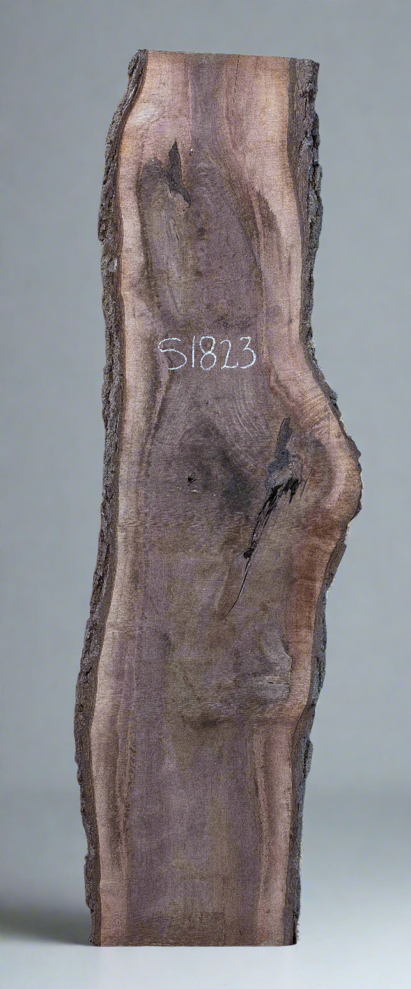Black Walnut - S1822 & Black Walnut - S1823 Book-matched Live Edge Slab Pair