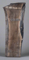Black Walnut - S1248