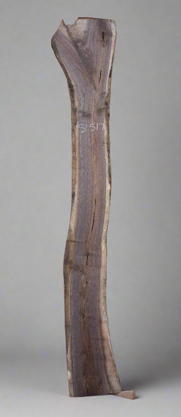 Black Walnut - S1517
