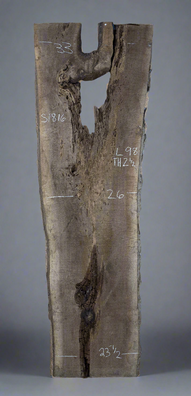 Black Walnut - S1816