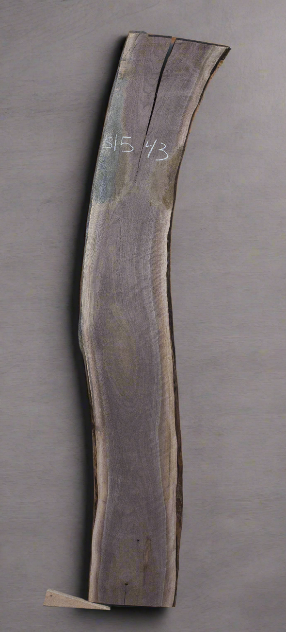 Black Walnut - S1543