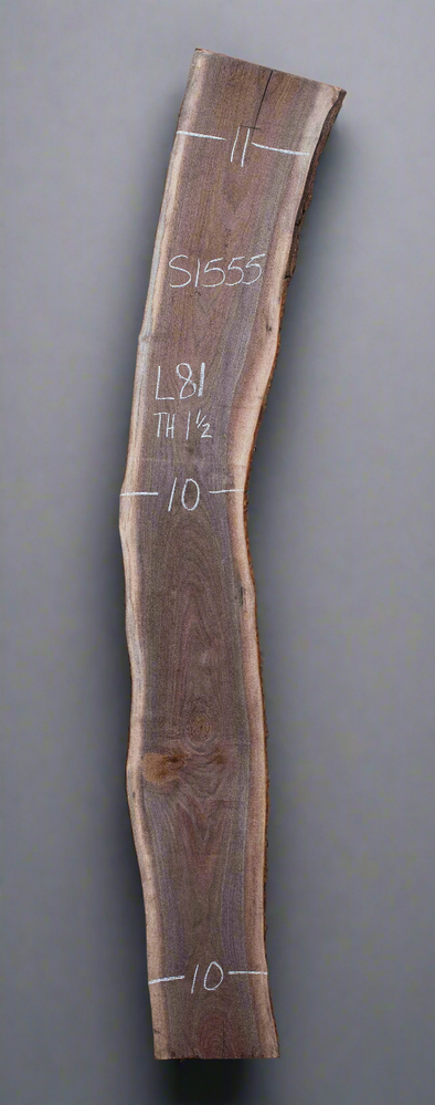 Black Walnut - S1555