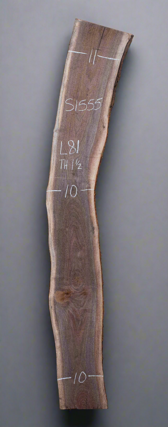 Black Walnut - S1555