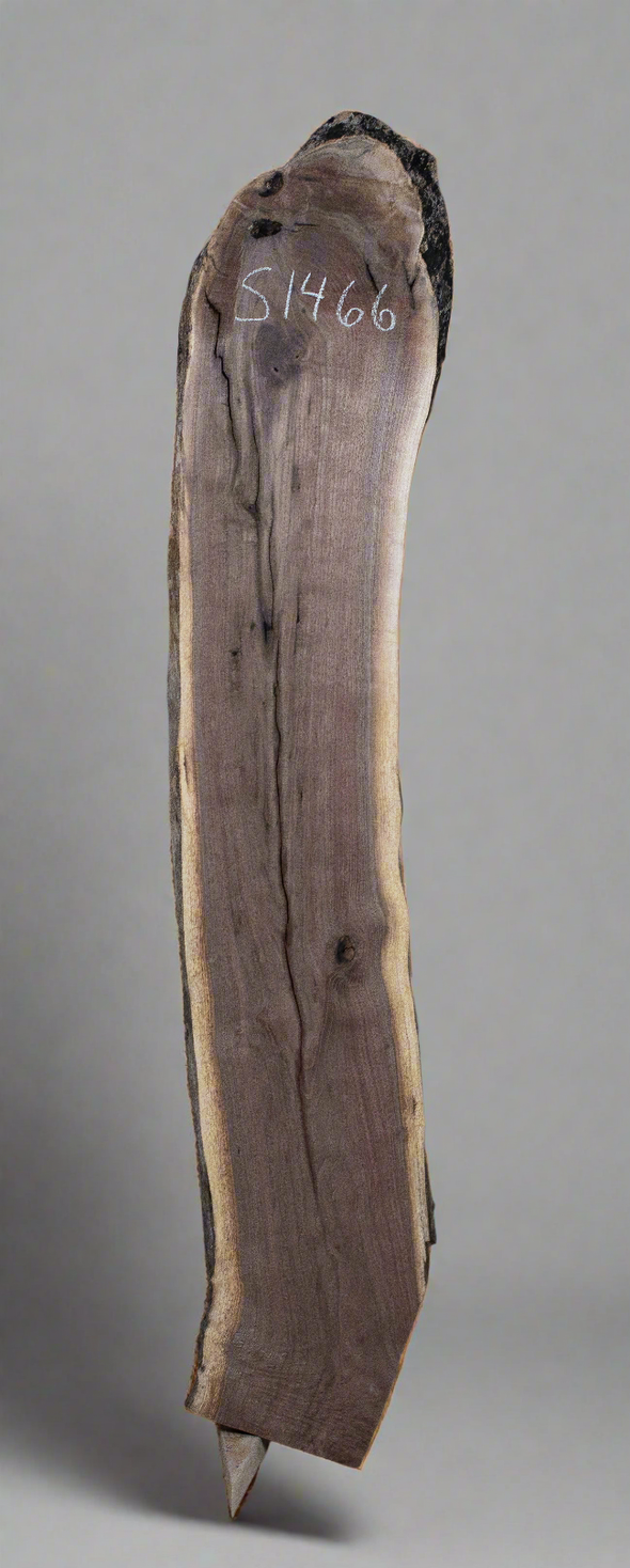 Black Walnut - S1456 & Black Walnut - S1466
