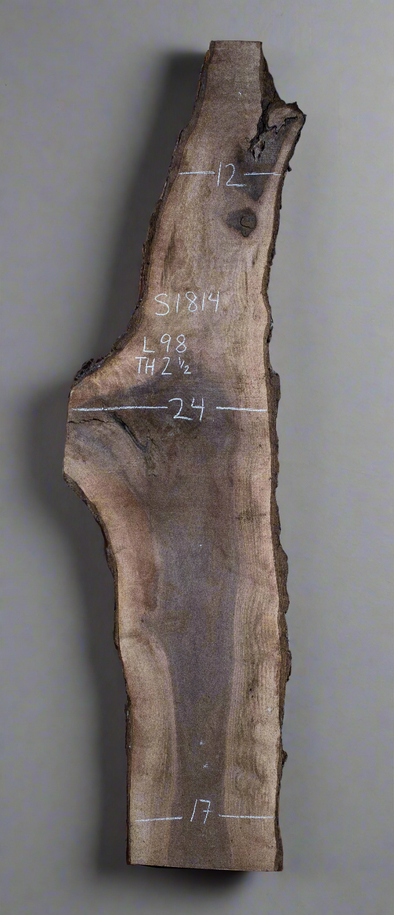 Black Walnut - S1814