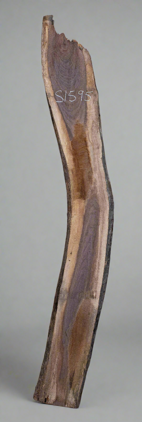 Black Walnut - S1595