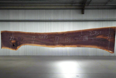 Black Walnut - W195