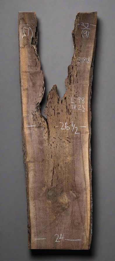 Black Walnut - S1818