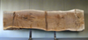 Black Walnut - W1356