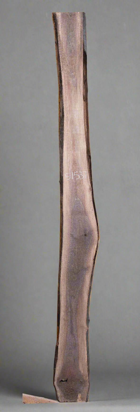 Black Walnut - S1537