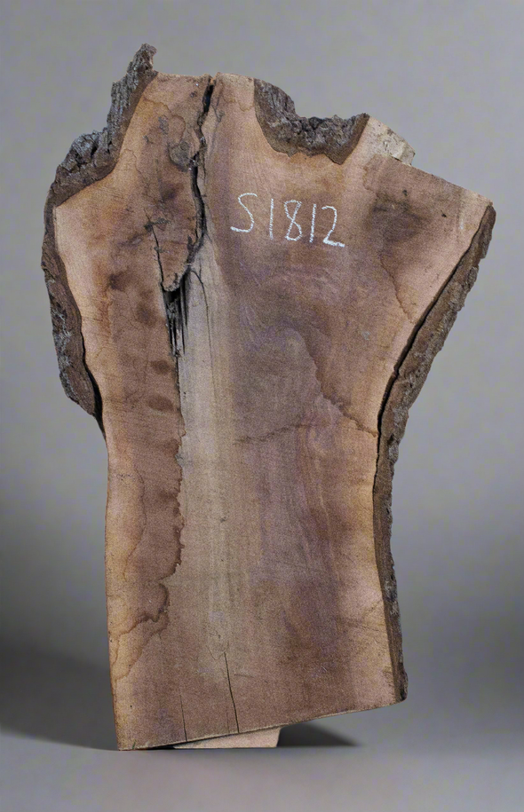 Black Walnut - S1812