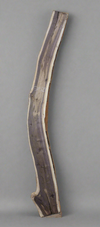 Black Walnut - S1529