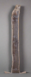Black Walnut - S1520