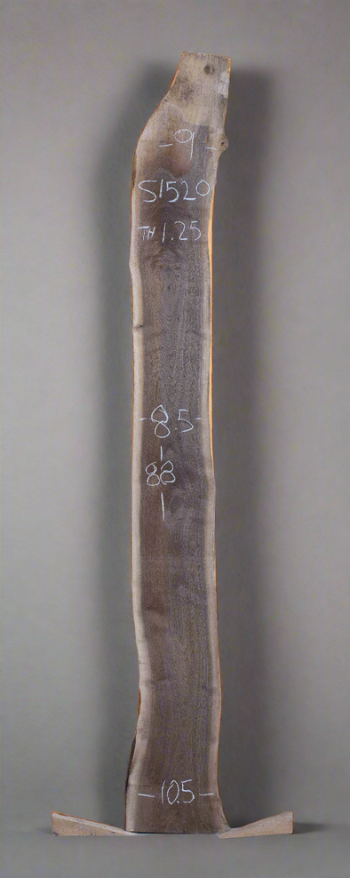 Black Walnut - S1520