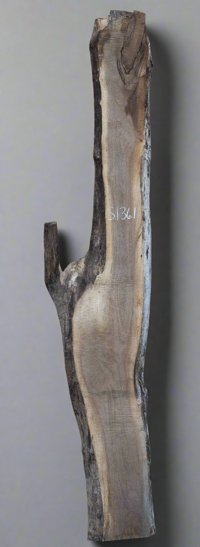 Black Walnut - S1361