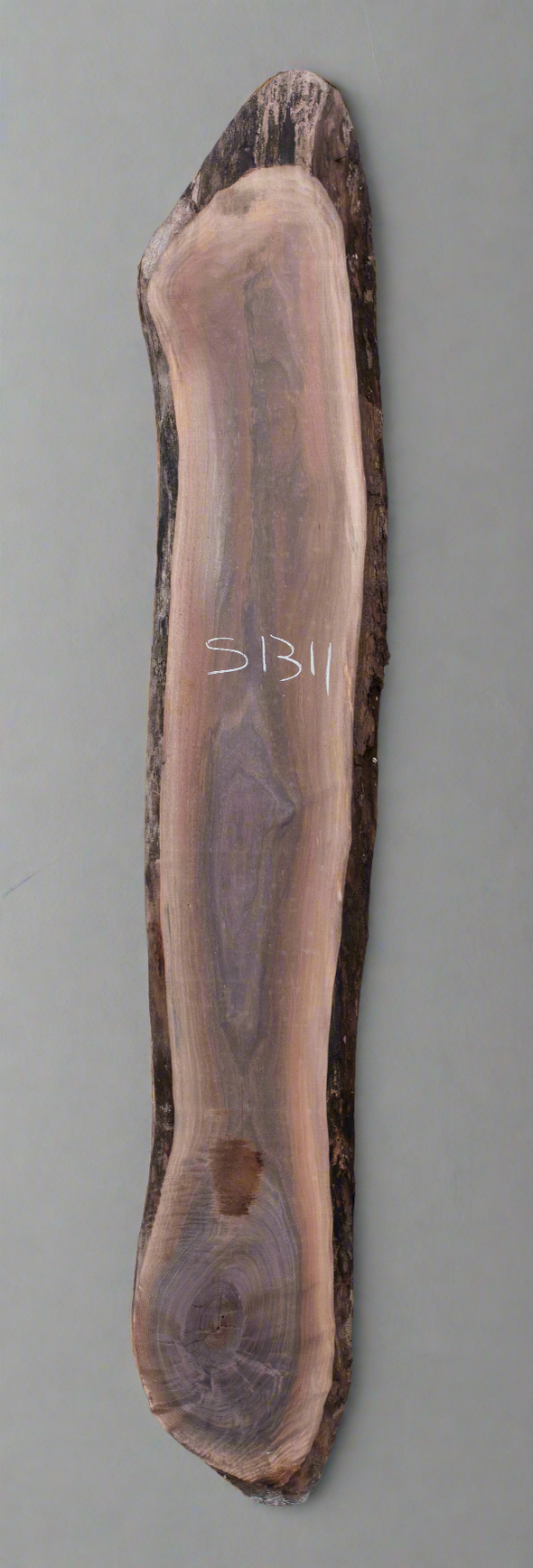 Black Walnut - S1311