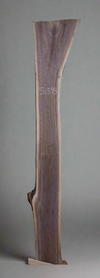 Black Walnut Live Edge Slab - S1593
