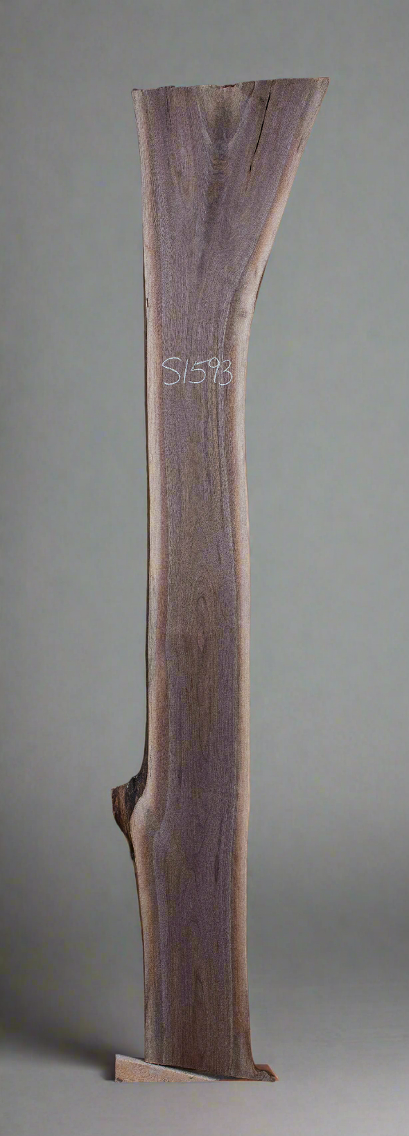Black Walnut Live Edge Slab - S1593