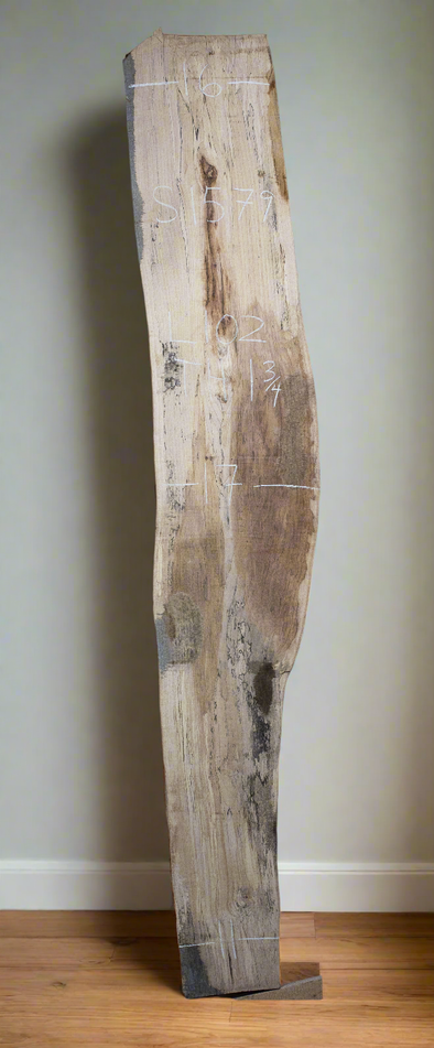 Spalted Maple - S1579