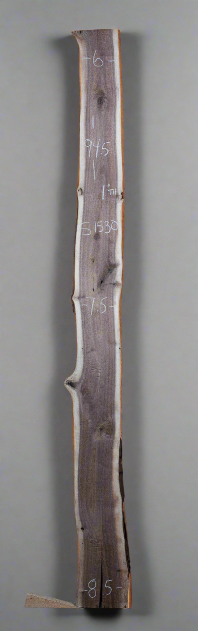 Black Walnut - S1530
