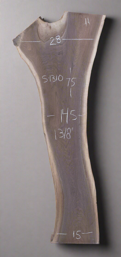 Black Walnut - S1310