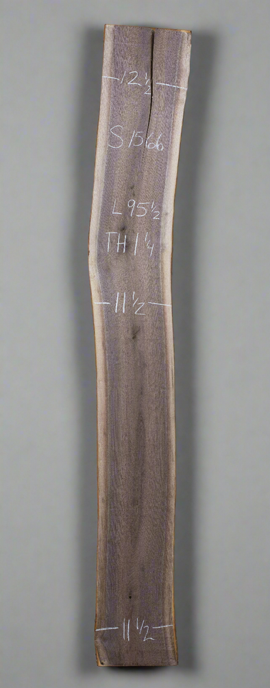 Black Walnut - S1566