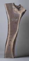 Black Walnut - S1310