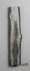 Spalted Maple - S1476