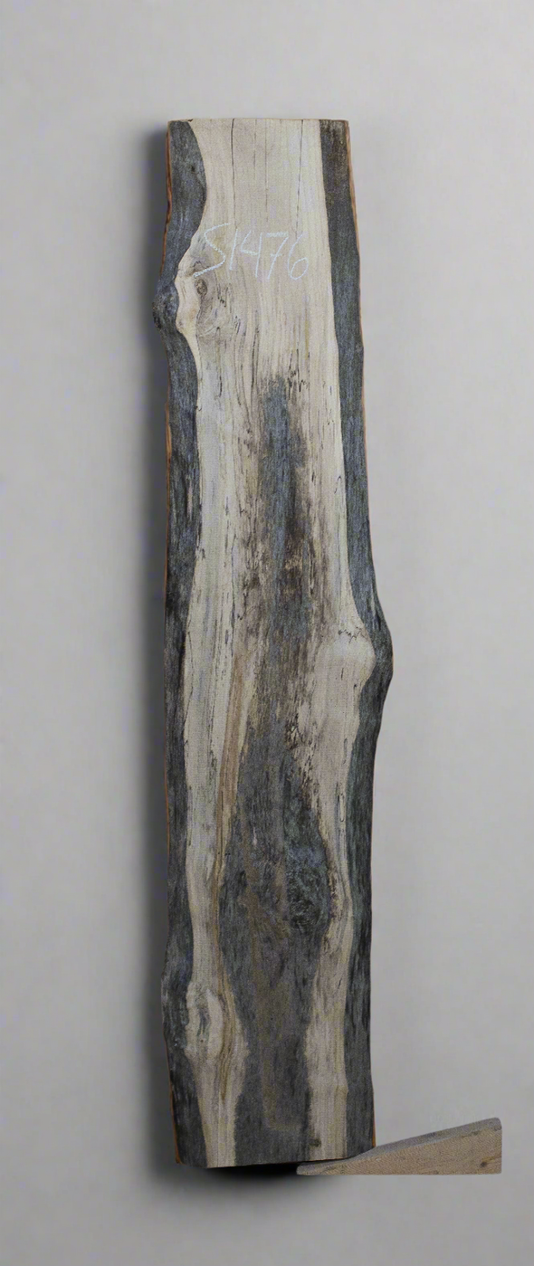 Spalted Maple - S1476