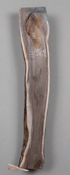 Black Walnut - S1564