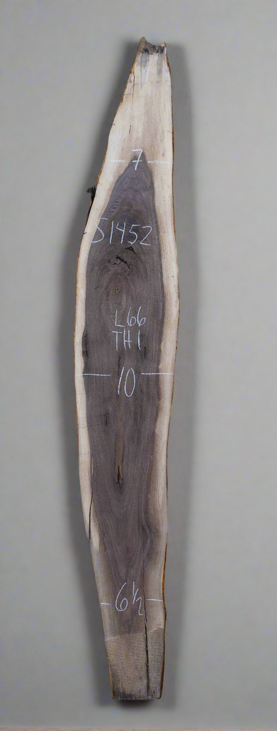 Black Walnut - S1452