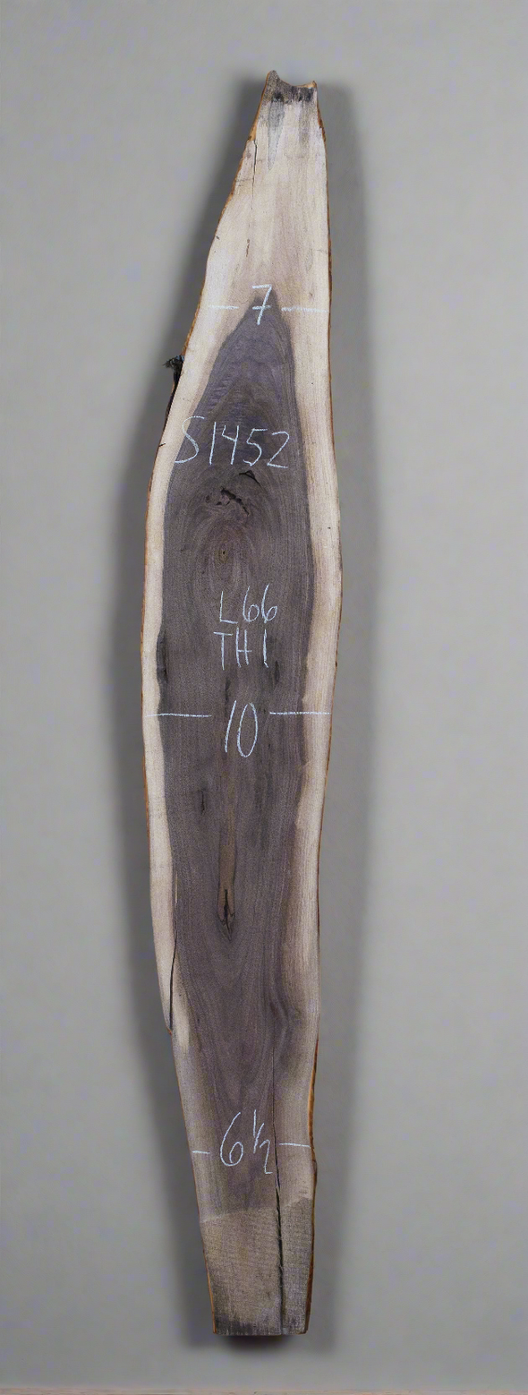 Black Walnut - S1452