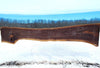 Black Walnut - W195